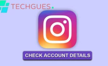 Techgues Instagram Details Checker