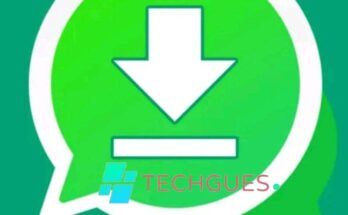 Techgues WhatsApp Status Saver – Video Download