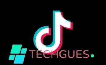 TikTok Best Follower App Beta Program by Techgues